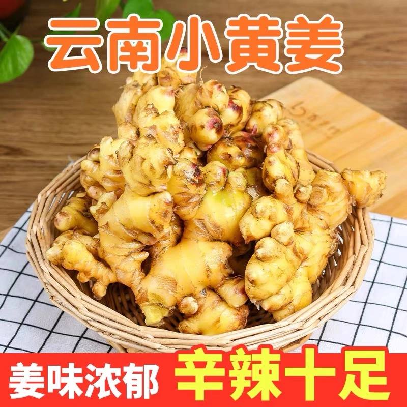 云南新鲜高山小黄姜1斤3斤5斤9斤沙地姜生姜老姜蔬菜现挖土姜
