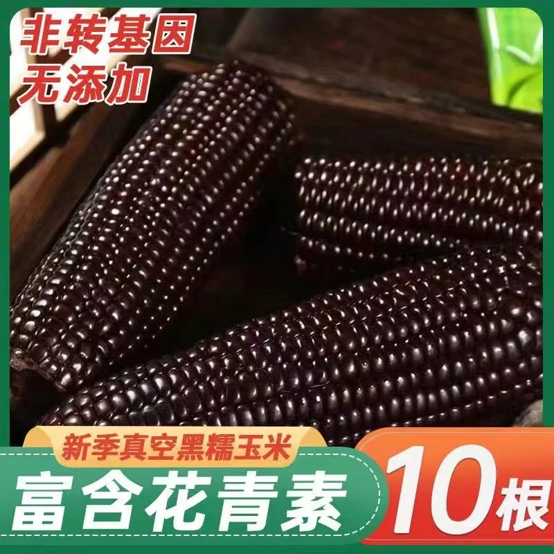 【试吃两根】2024年头茬黑糯玉米软糯香粘拍8送2共10支整箱6斤黑糯