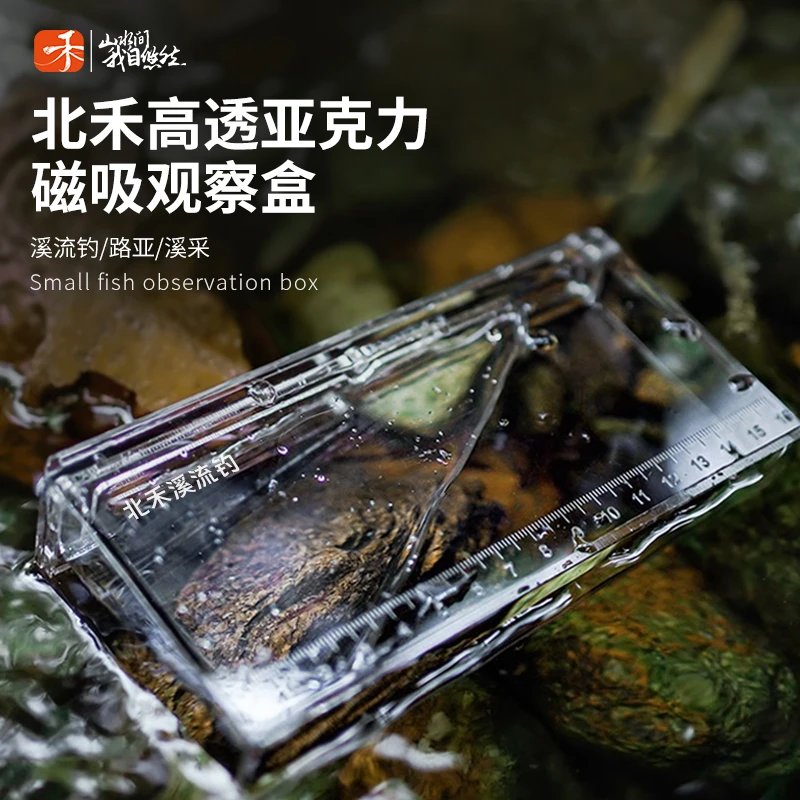 北禾透明小物钓观察盒 野采透明观鱼盒 路亚溪流钓带刻度尺便携式