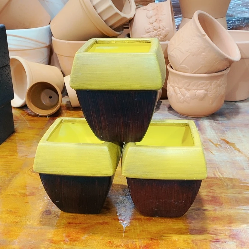 【闪购商品】红陶10×13方盆三个