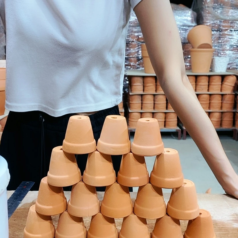 【闪购商品】红陶20CM以下5×5十八个