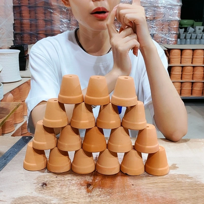 【闪购商品】红陶20CM以下5×5十八个