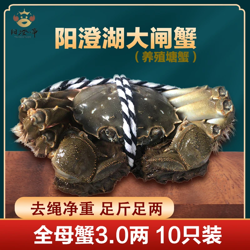 【活蟹】阳澄湖大闸蟹 全母蟹3.0两 10只高标准活水塘养