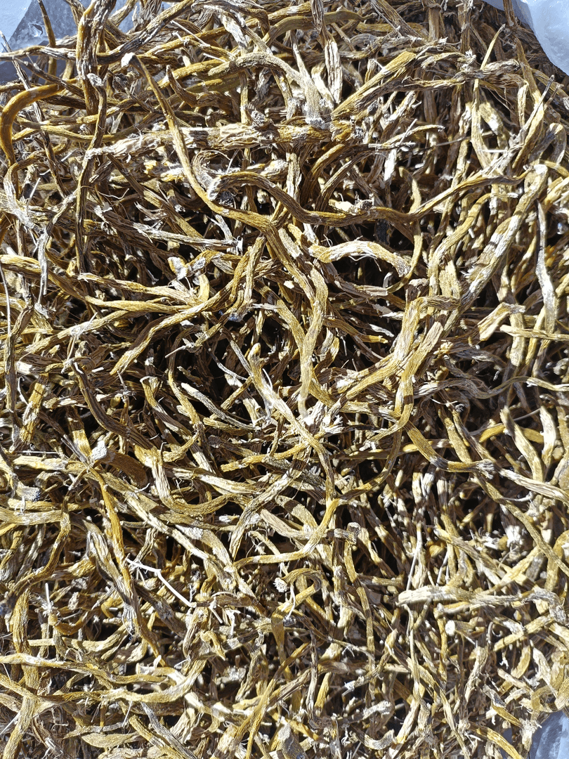 云南山货［干珍虫］250g起拍