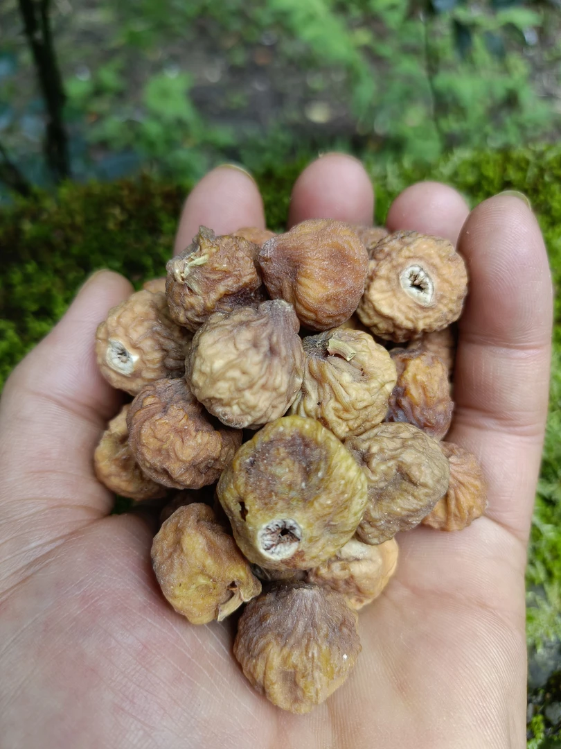 云南山货【无花果】500克拍 （食用菜叶子）
