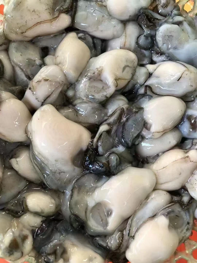 蚝仔生鲜有家超市小时达潮八生蚝囡囡生蚝生蚝制品