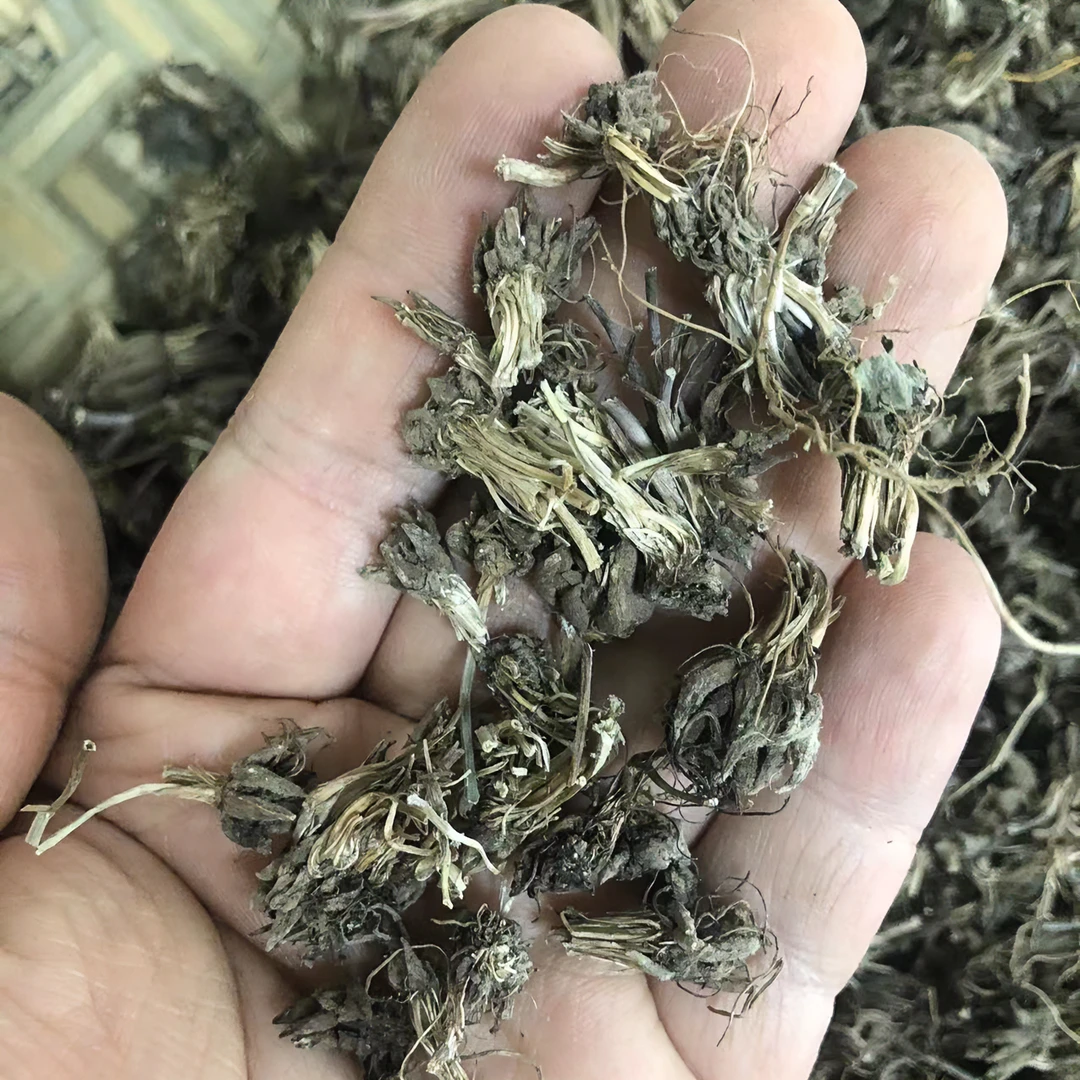 【老班长精选】正宗猫爪草 自然晾晒无硫手选