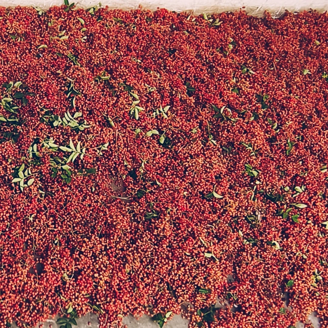 精致大红花椒鲜麻新鲜优质颗粒天然深山采摘