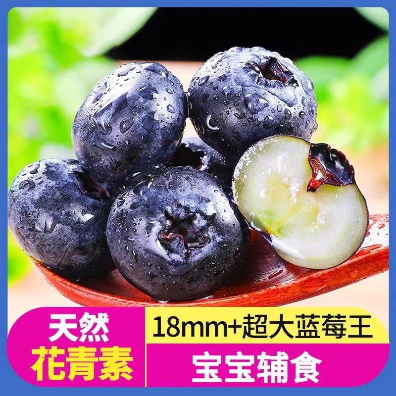 10盒新鲜蓝莓特大果新鲜采摘水果孕妇宝宝水果蓝莓香甜果当季限量