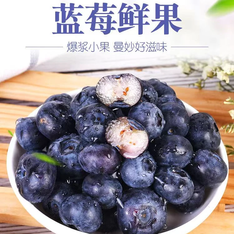 新鲜蓝莓鲜果水果蓝梅护眼新鲜采摘当季限量香甜饱满爽口果香浓郁
