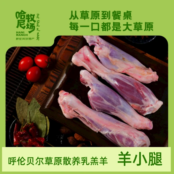 内蒙古呼伦贝尔草原私人牧场散养精修羊小腿（2前2后）