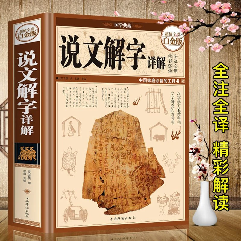 说文解字详解译文注释插图版图解古代汉语汉字生僻字书籍写作识字