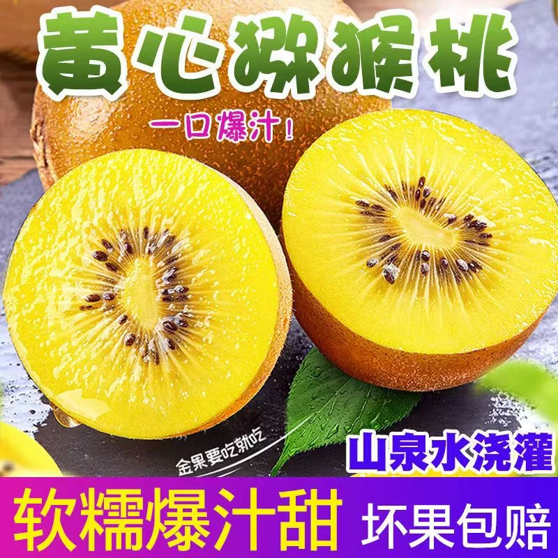 唐老师一队正宗四川蒲江精品新鲜黄心猕猴桃现摘现发（放软食用）