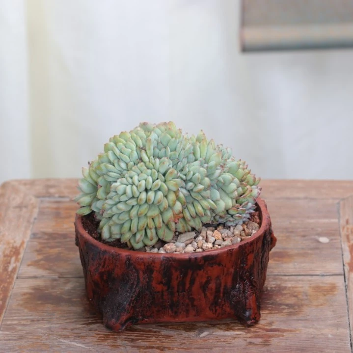 椭圆小花盆 紫砂朱泥半手工 应山陶艺坊制