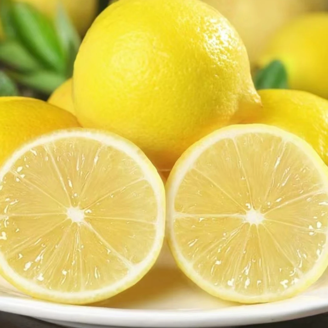 【6颗装】安岳黄柠檬新鲜多汁奶茶店精选冲泡果