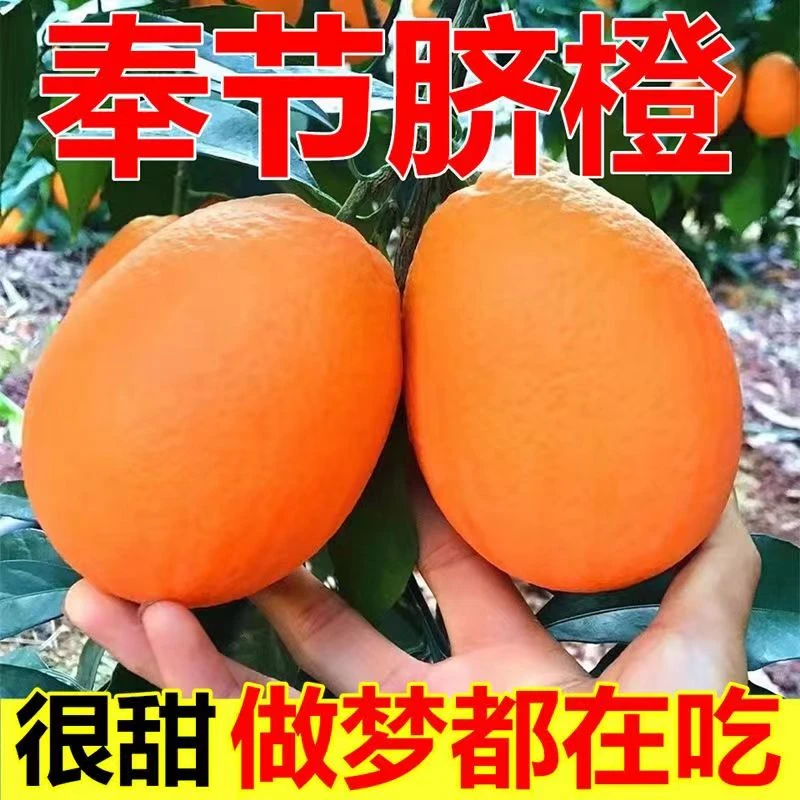 10斤装正宗奉节三沱现摘脐橙中大果非赣南橙子酸甜爽口爆汁发顺丰