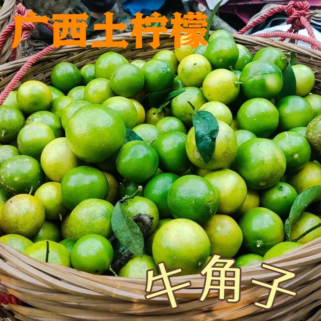 [顺丰包邮]广西土柠檬新鲜牛脚子现摘柠檬腌酸好原材两斤包邮