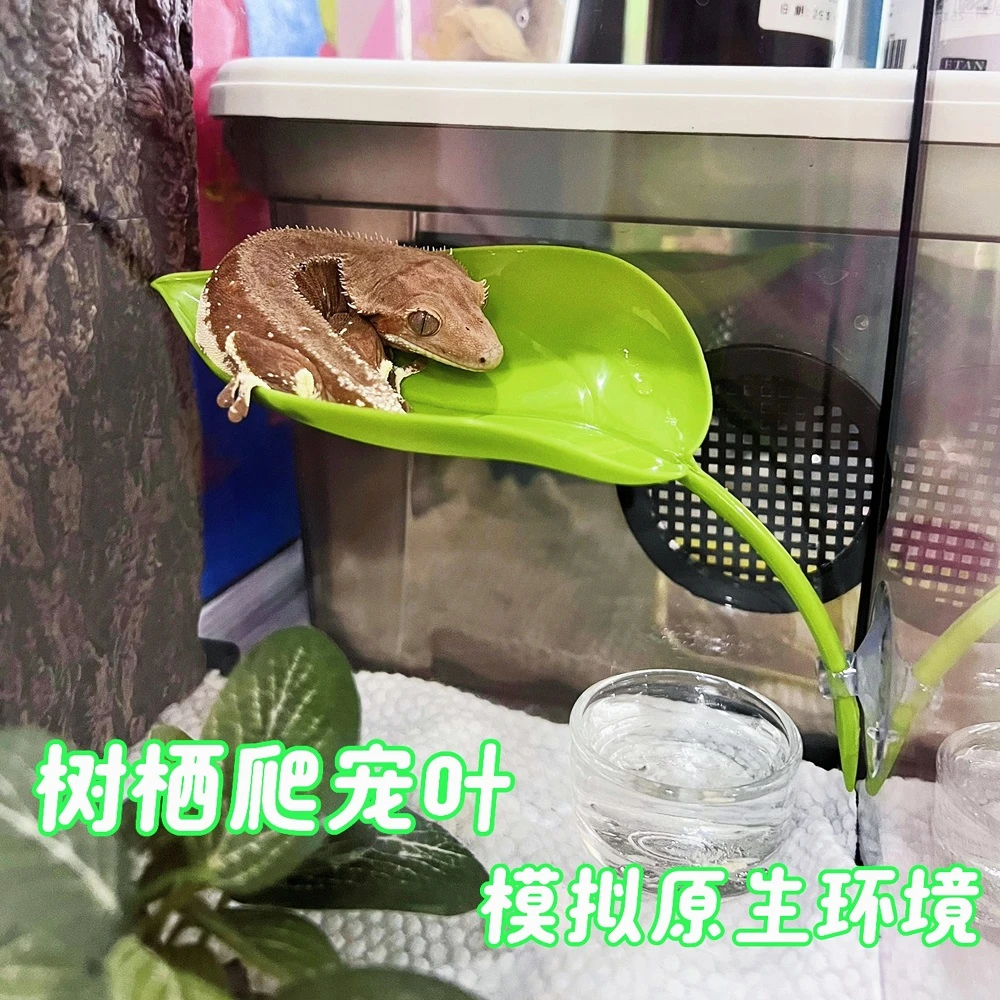 爬宠空中爬台树栖型树蛙睫角守宫专用仿真植物型攀爬叶栖息悬浮窝