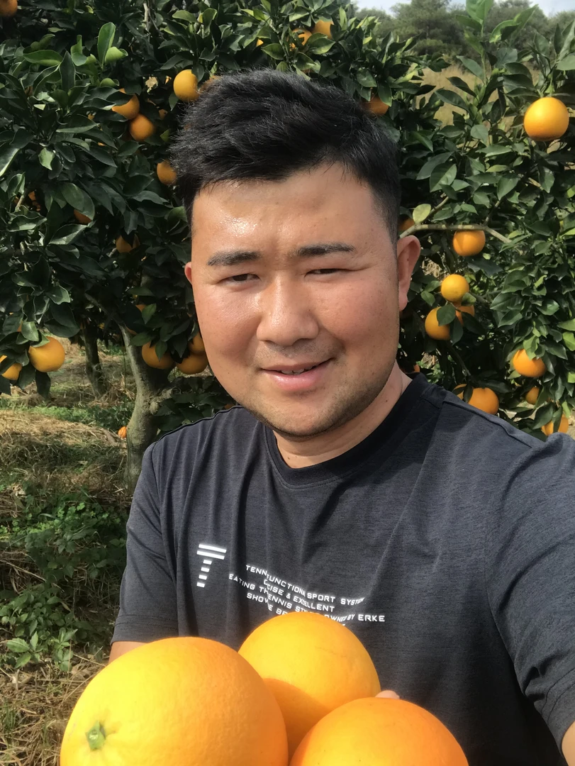 湖南纽荷尔脐橙 混装果（王老五家的带箱子十斤）