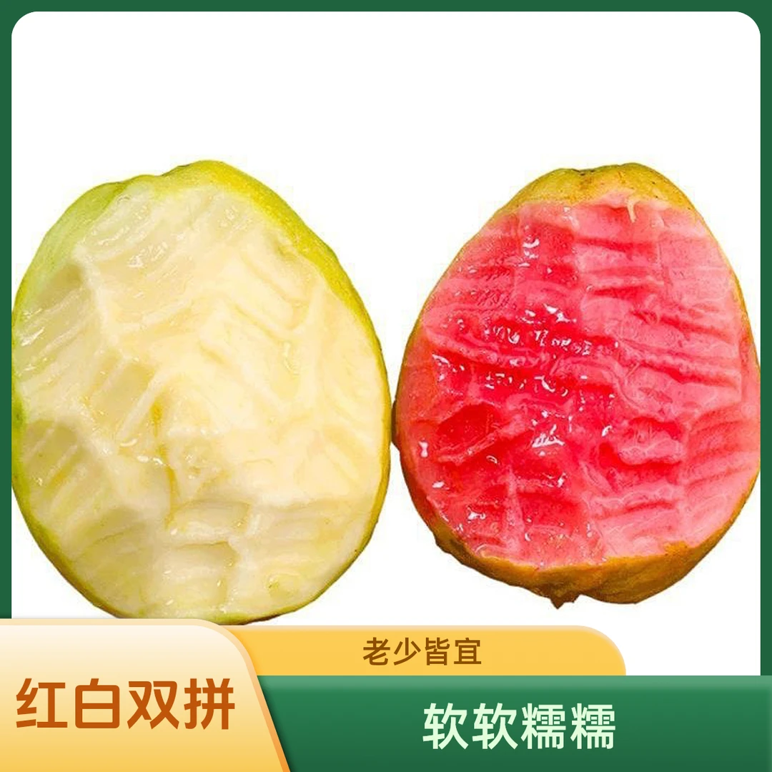 广西玉林水果奶油老树现摘冰淇淋红白心芭乐软心软糯香甜老树双拼