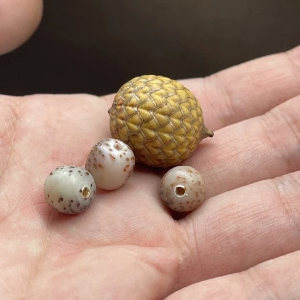 5  海南料原生态星月菩提 直播改价链接（勿乱拍）