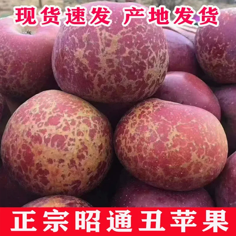 昭通冰糖心丑苹果甜脆红富士8.5/5斤苹果新鲜应季水果孕妇食用