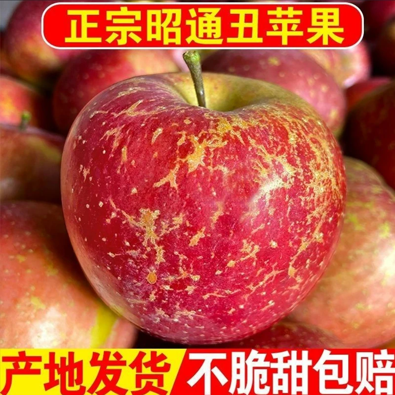 昭通冰糖心丑苹果甜脆红富士苹果新鲜应季水果孕妇食用8.5/5斤