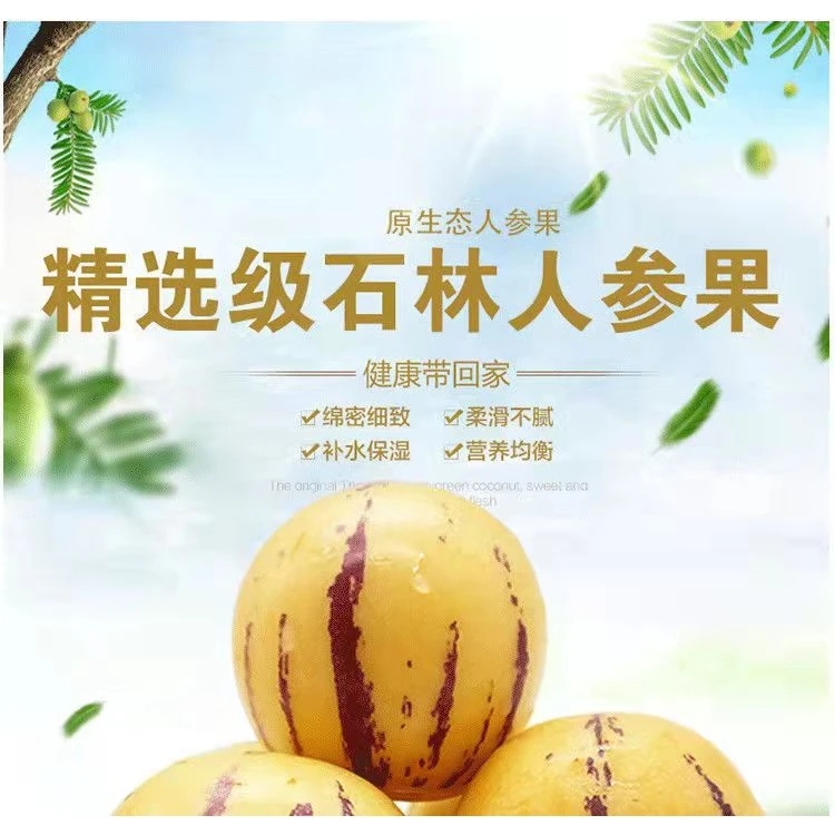 精品石林人参果圆果黄肉精选多汁新鲜水果果园3-9斤发货可口多汁