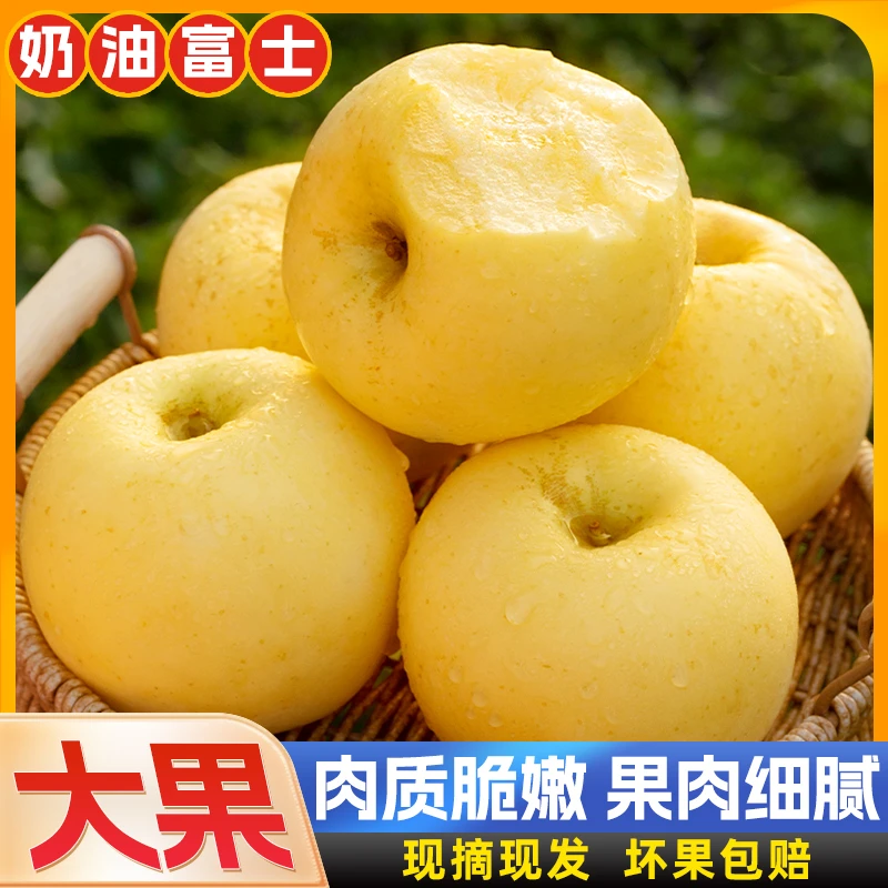 山东烟台奶油富士苹果3-9斤装奶油苹果脆甜爽口好吃新鲜水果营养1