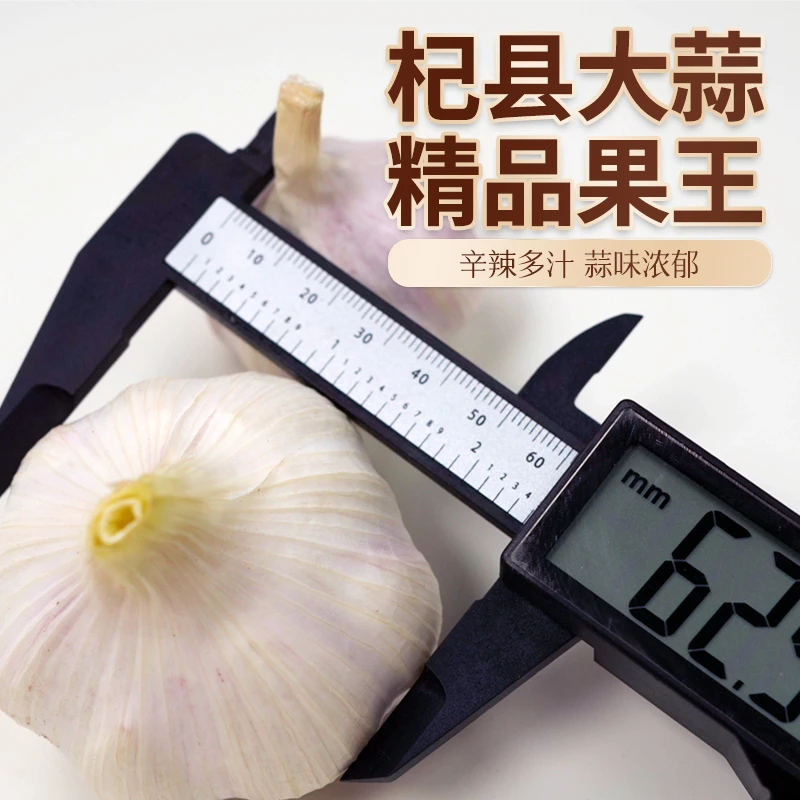 （特大果）5斤2024年新干蒜新鲜5.5公分自然营养脆嫩爽口大蒜可种