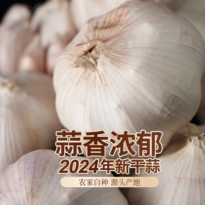 2024年新干蒜开封杞县大蒜优质爽口好吃晾干凉拌辛辣营养天然种植