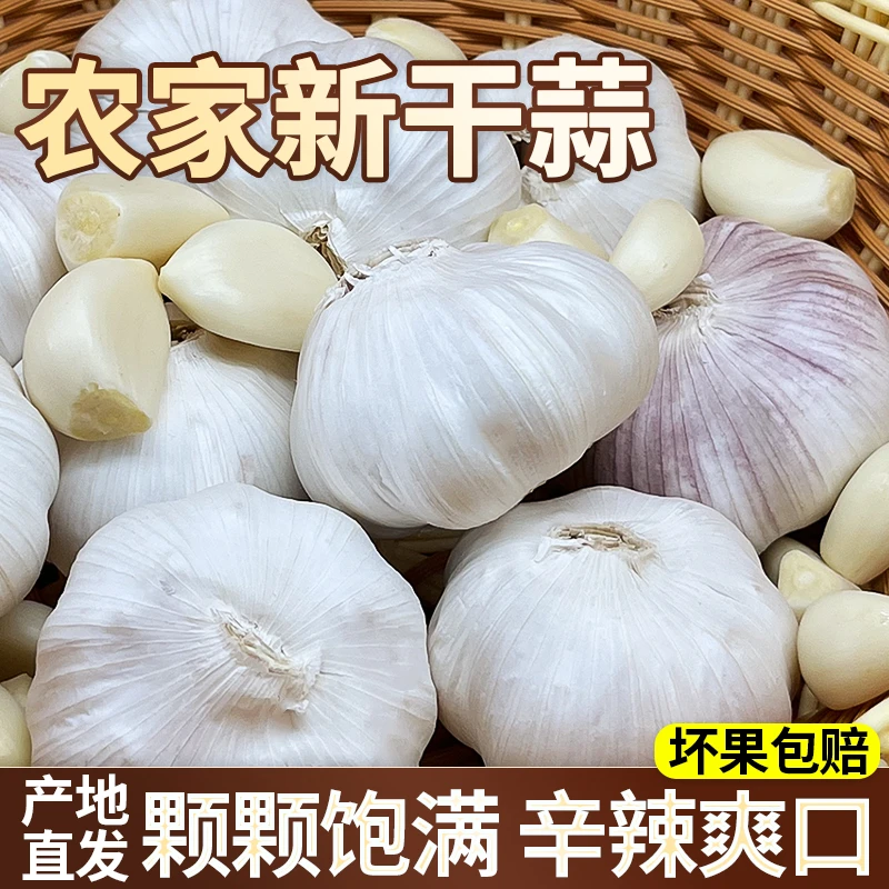 【农家土大蒜】农家自种紫白皮大蒜新干蒜可种大蒜头蔬菜1斤/5斤
