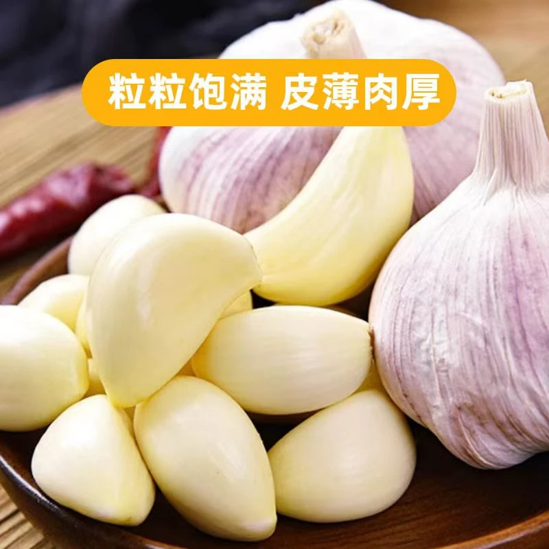 【农家土大蒜】5斤农家自种新干蒜紫白皮大蒜头可吃可种辛辣脆嫩