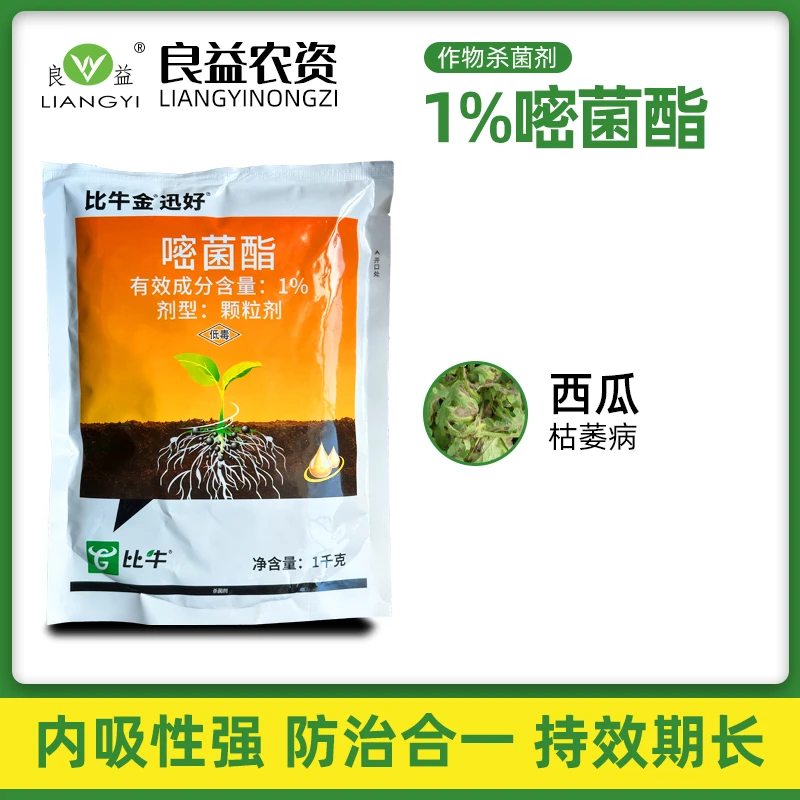 中迅1%嘧菌酯西瓜枯萎病杀菌剂拌土撒施