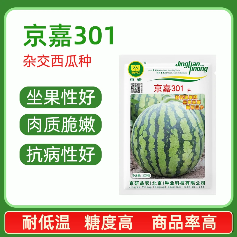 京嘉301大棚早熟杂交西瓜种抗病糖度高口感好裂瓜少易坐果高品质