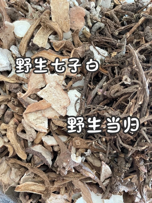 野生七子白纯粉250克（3个月的量）