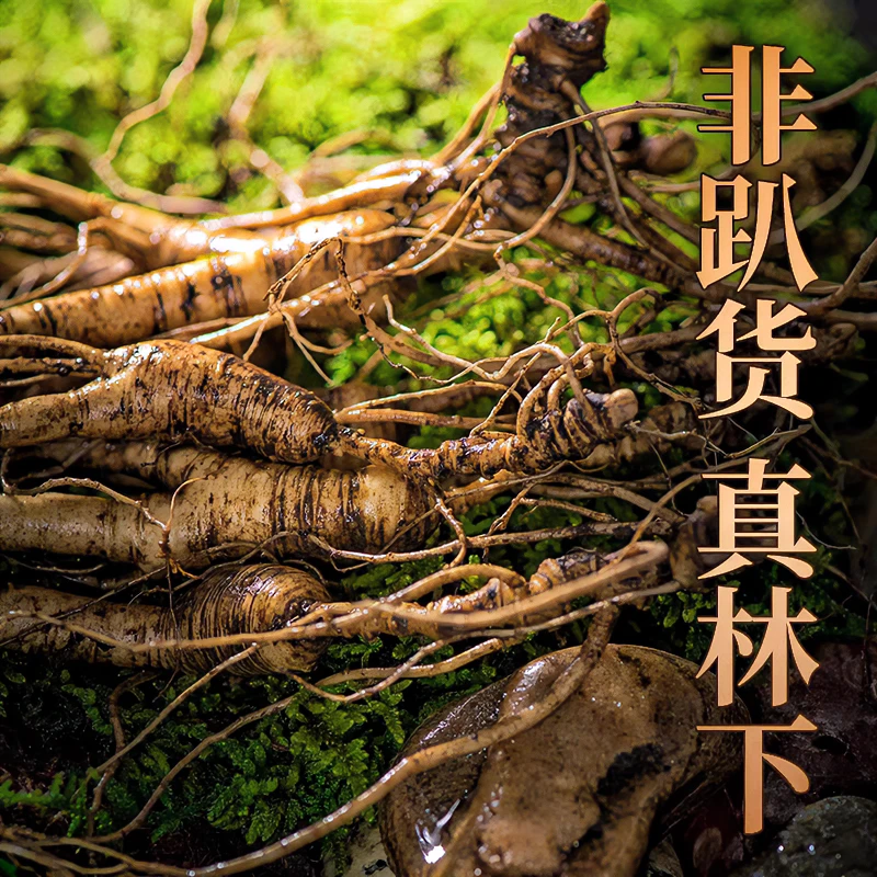 长白山特产新鲜林下参滋补营养煲汤泡水