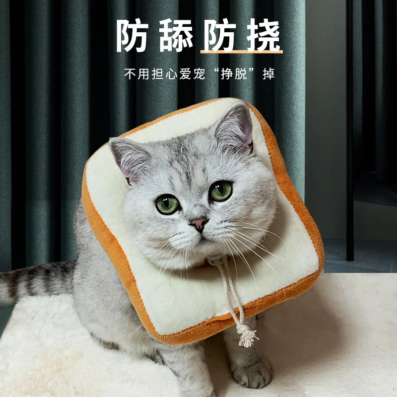 宠物猫咪狗狗伊丽莎白圈小猫猫防舔圈头套项圈伊莉莎白圈幼猫脖圈