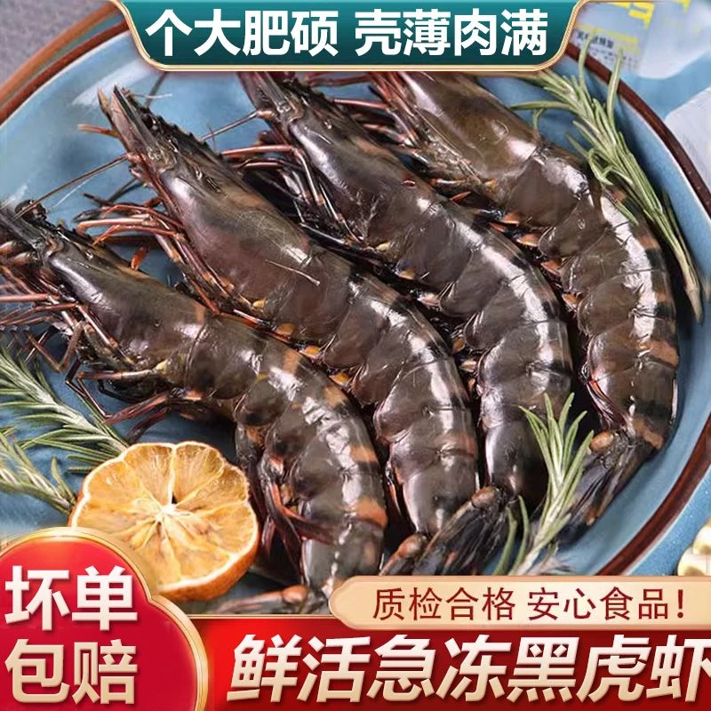 黑虎虾超大新鲜大虾老虎虾鲜活虎虾基围虾特大速冻海鲜斑竹九节虾
