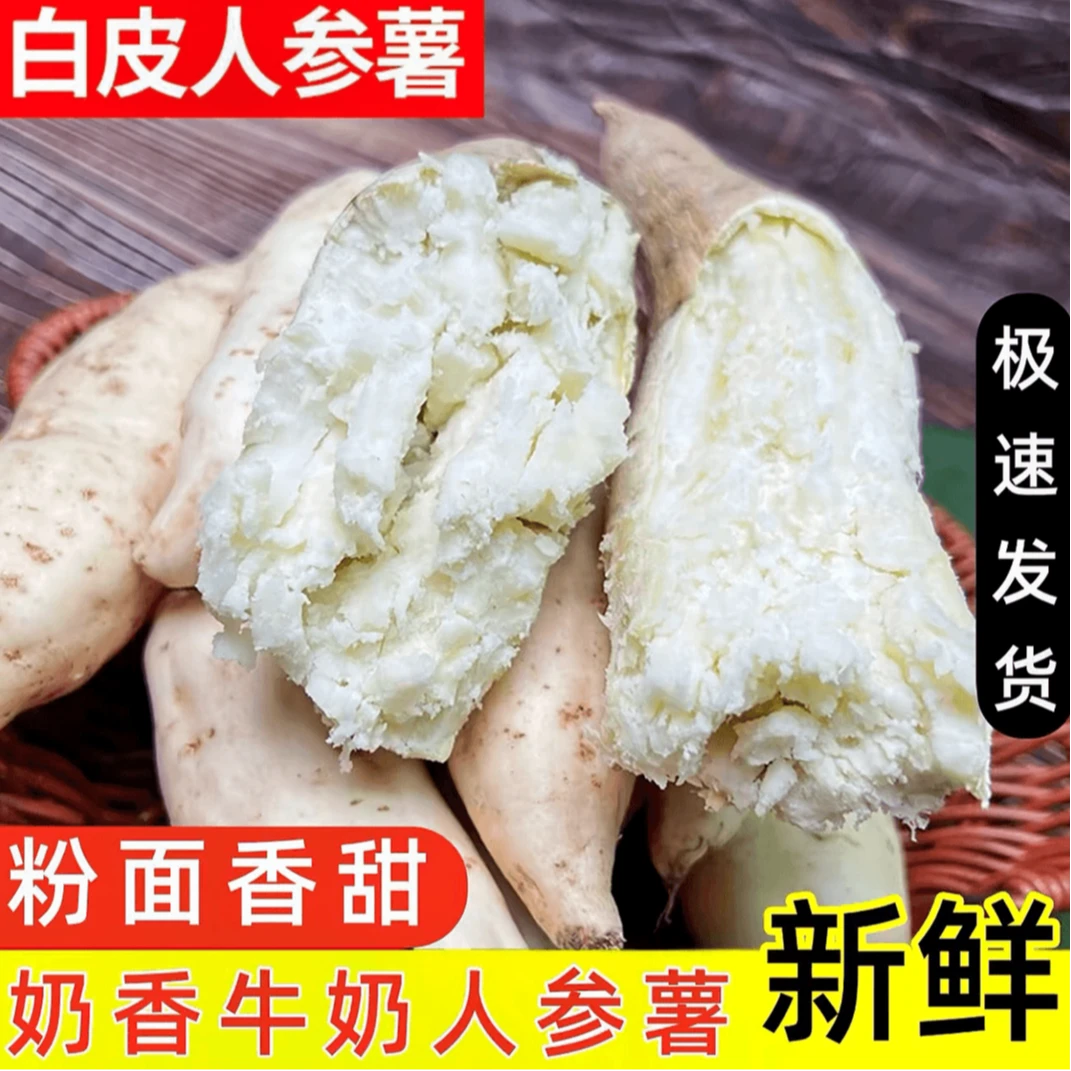 【5斤包邮】新鲜现挖奶香人参薯白皮白心红薯鸡蛋板栗薯粉糯香甜