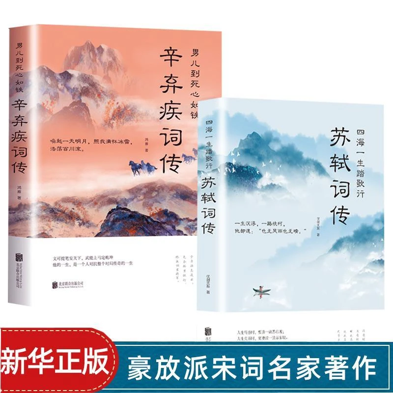 男儿到死心如铁:辛弃疾词传  苏轼词传  苏东坡诗词文学 诗歌词曲