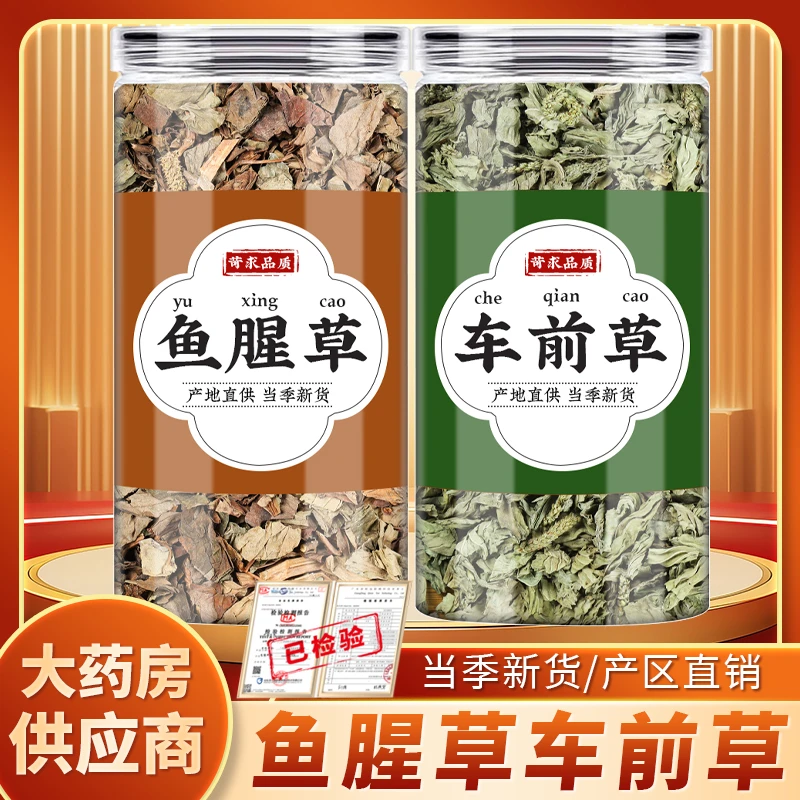 鱼腥草车前草中药材正品鱼腥草干折耳根袋泡茶煮水喝的功效与作用
