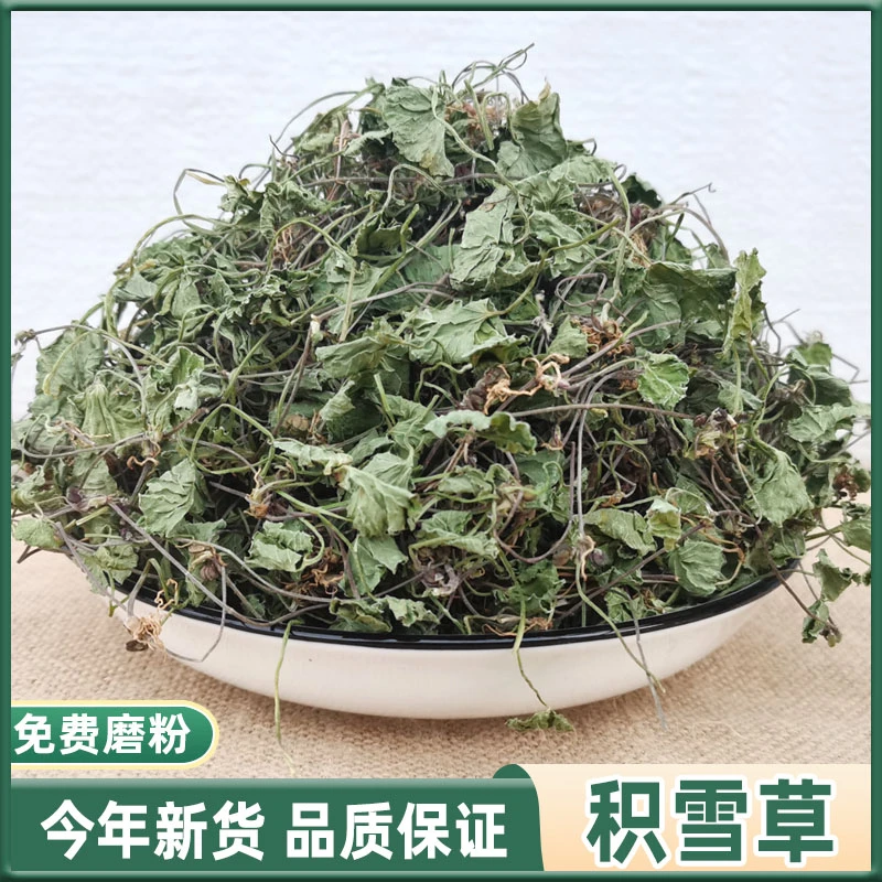 正宗积雪草崩大碗马蹄草中药材正品手工精选新鲜干货干净泡茶泡水