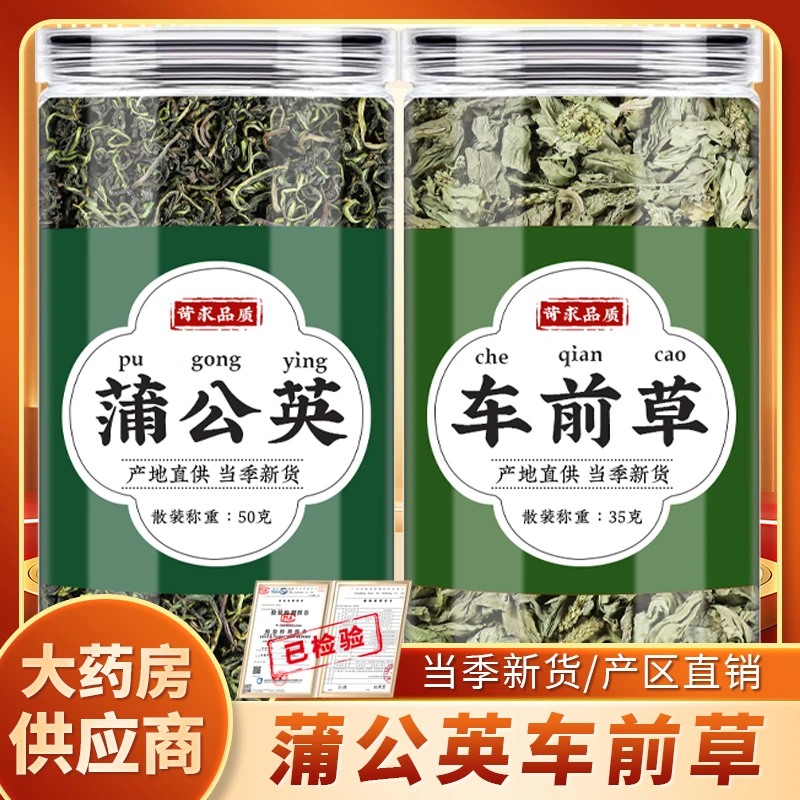 蒲公英车前草中药材正品新鲜干货浦公英婆婆丁车钱草袋泡茶泡水喝