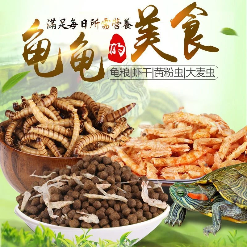 龟粮饲料乌龟食物通用高钙中华草龟巴西龟半水龟食淡水小鱼干虾干