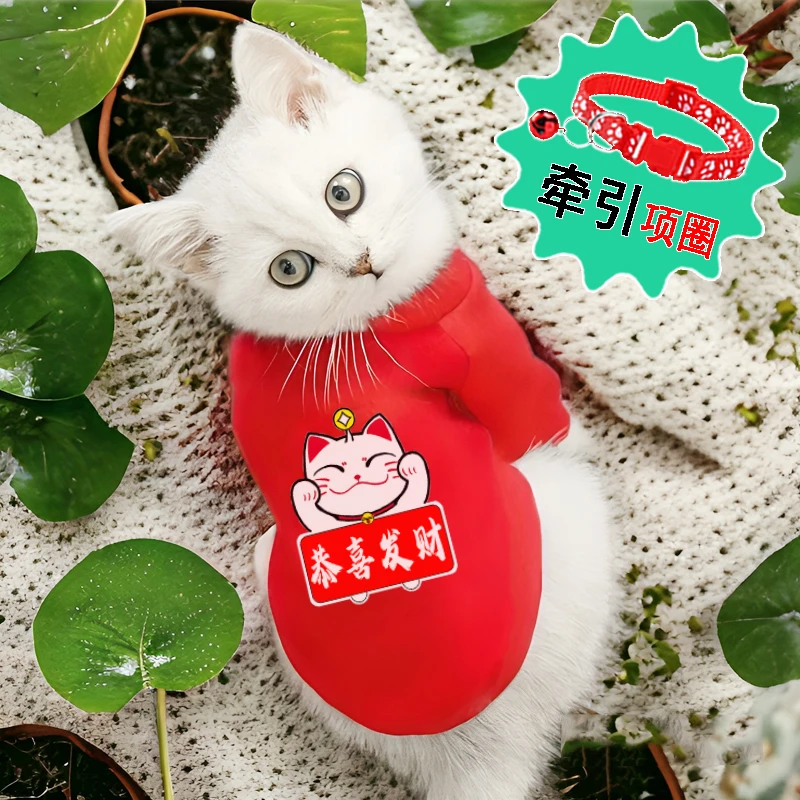 秋冬季宠物衣服小猫咪衣服可爱加绒保暖英短蓝猫布偶猫银渐层衣服