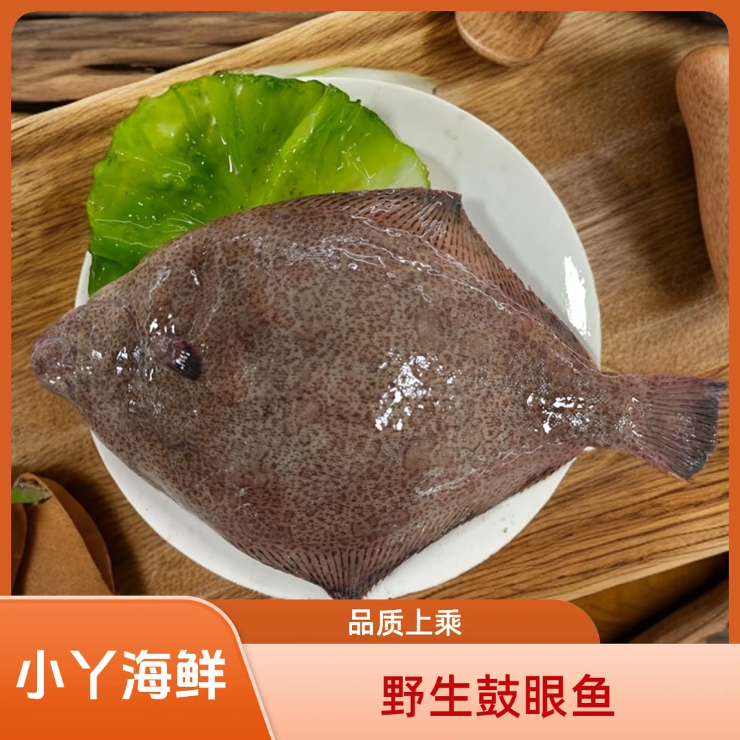 【大鼓眼】大号当地野生鼓眼鱼 青岛市内当天到