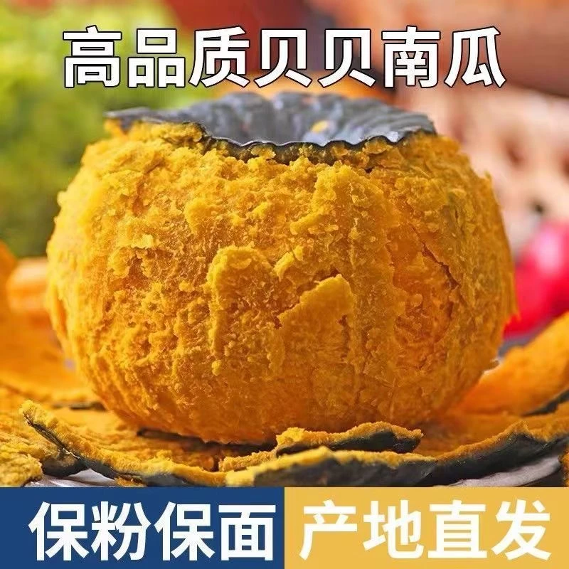 【精选中果】山东潍坊正宗贝贝南瓜5斤装粉糯香甜（6个左右中果）