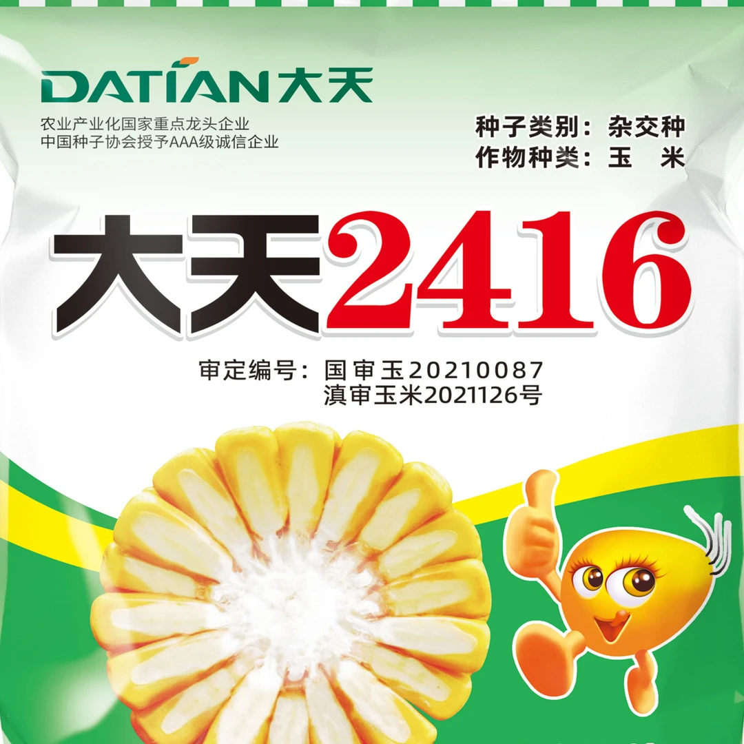 玉米种大天 2416 - 400g