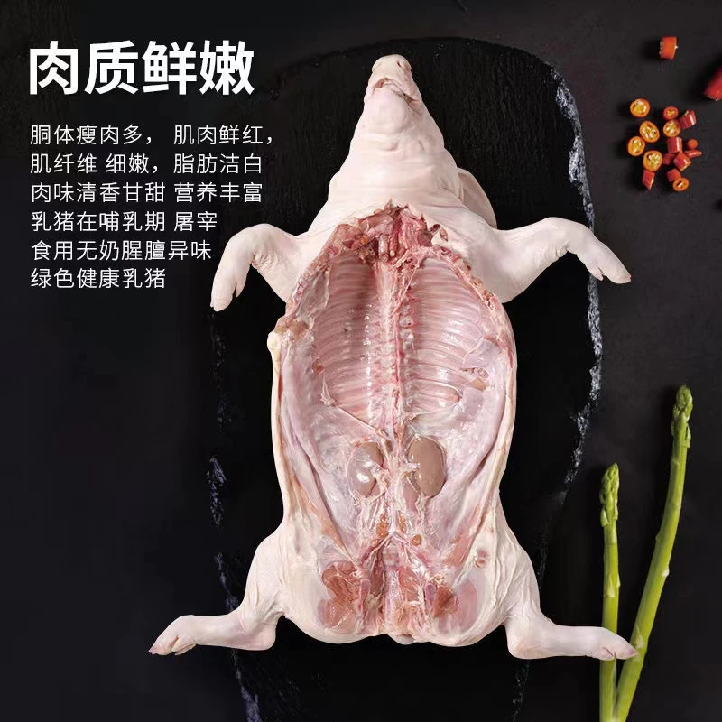 仁辉正宗农家深山散养新鲜跑山小香猪【预】